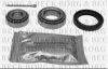 BORG & BECK BWK013 Wheel Bearing Kit